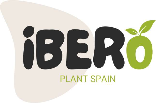 Ibero Plant Spain-Plants from Spain | Import & Export