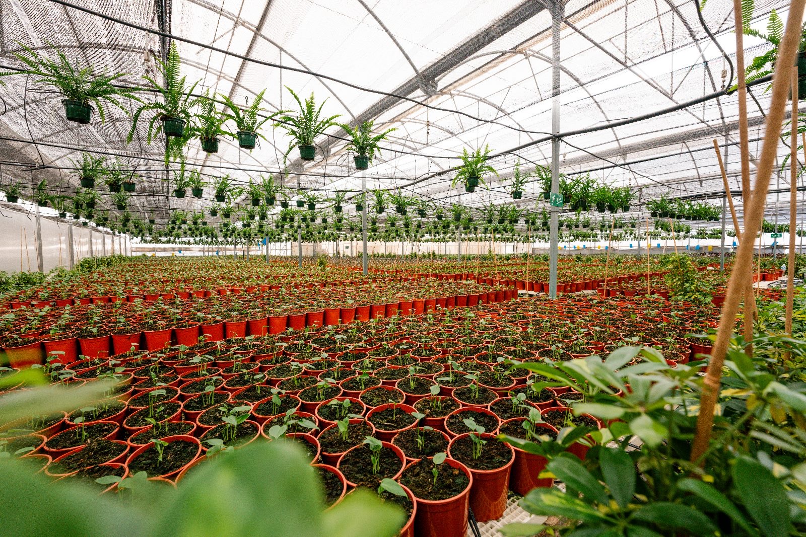 Foto 14-5-24, 21 35 11 (1)