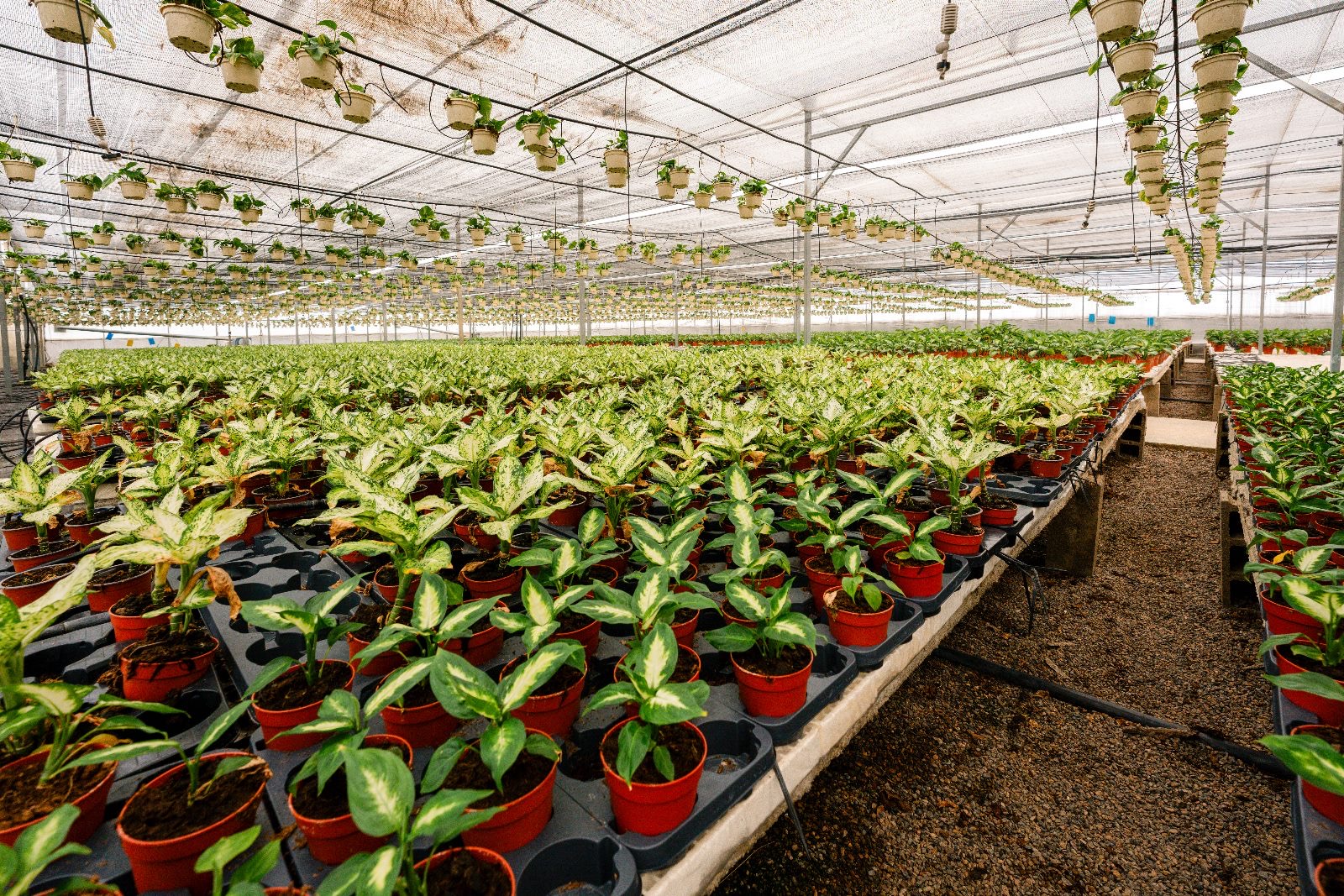 Foto 14-5-24, 21 35 11 (2)